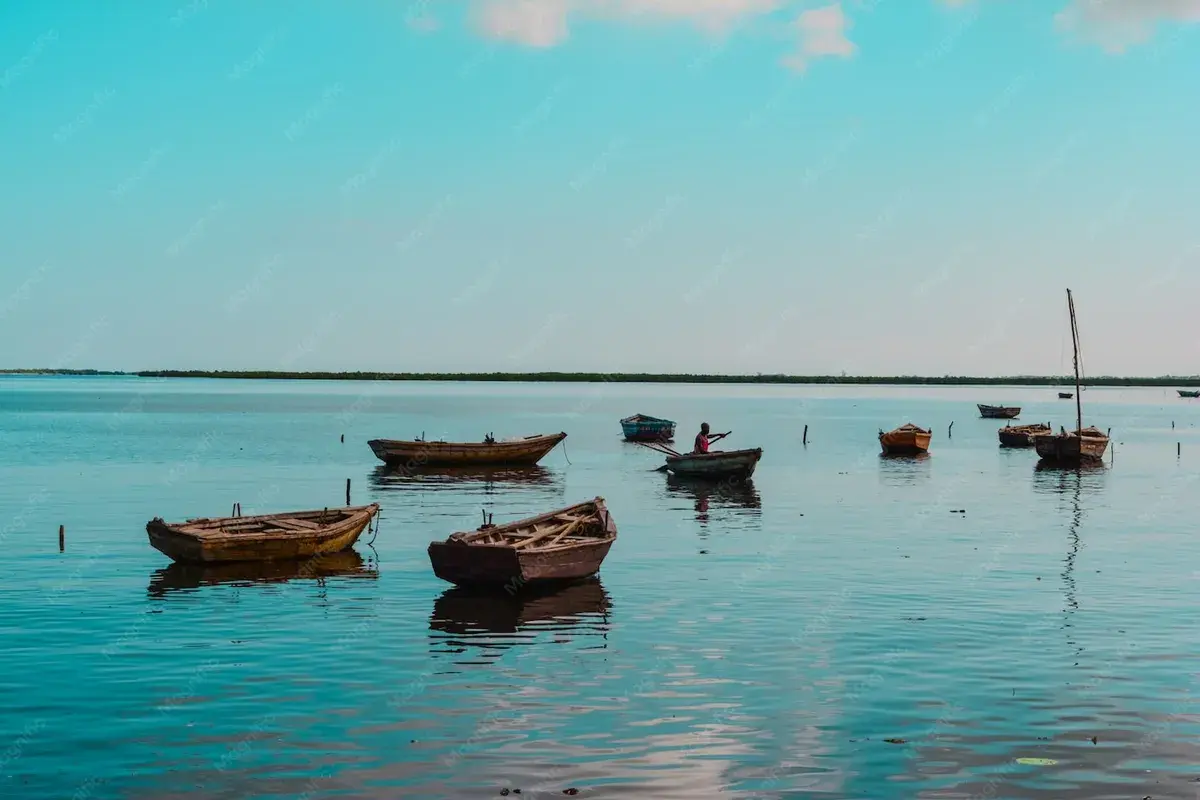 Pirogues en bois sur un plan d'eau calme